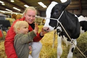 South of England Show