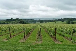 geograph 2471598 by Robin Webster