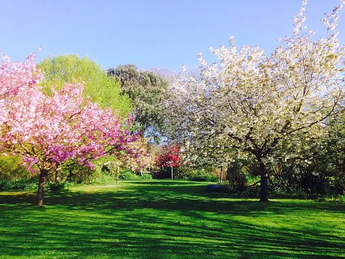 Highdown Gardens