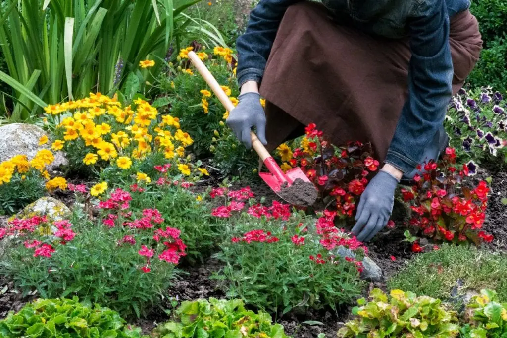 Horticulture