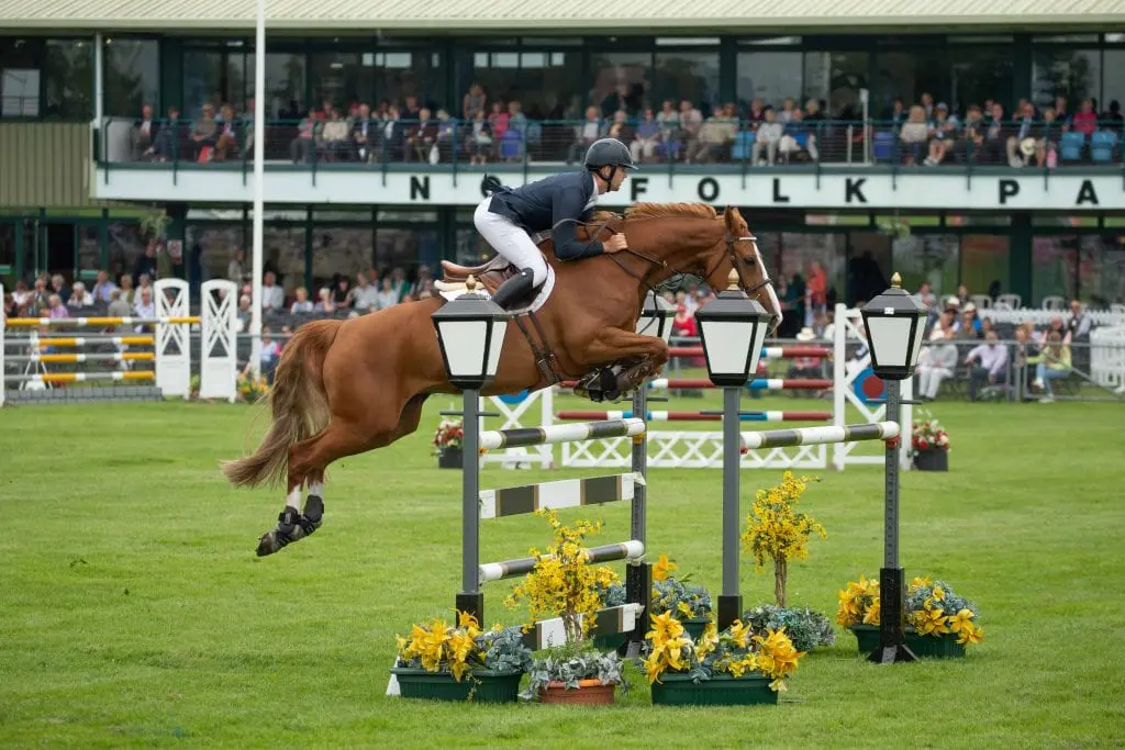 South of England Show