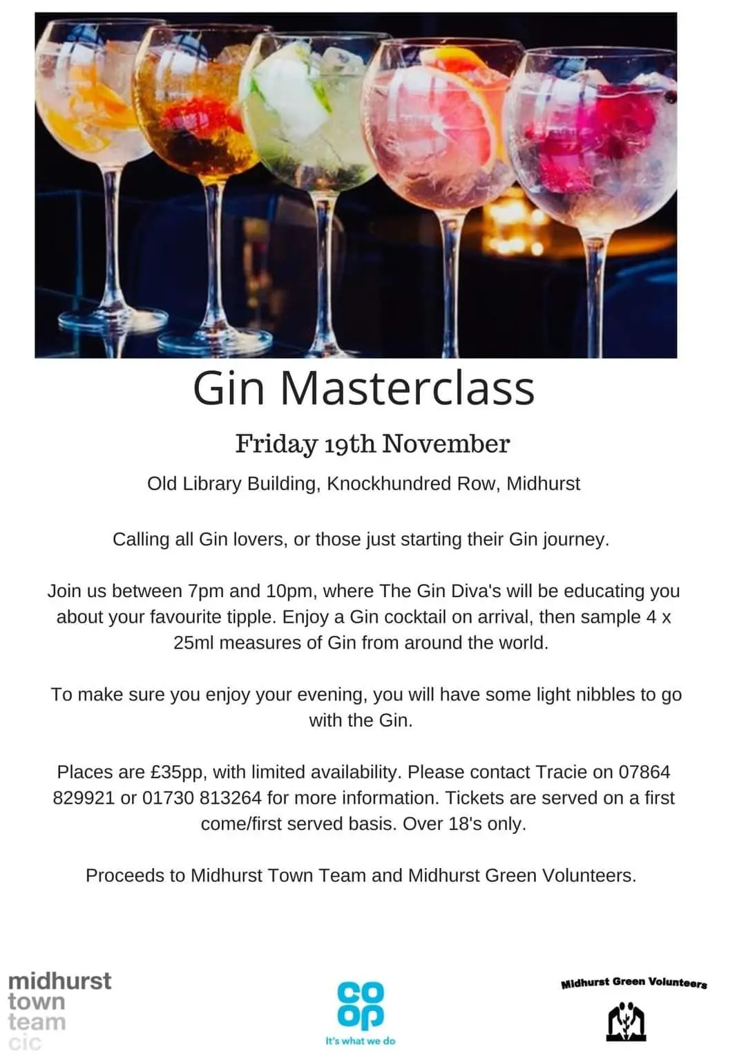 GIN POSTER 41302bb648f01ff8366e9b7a0def8f33