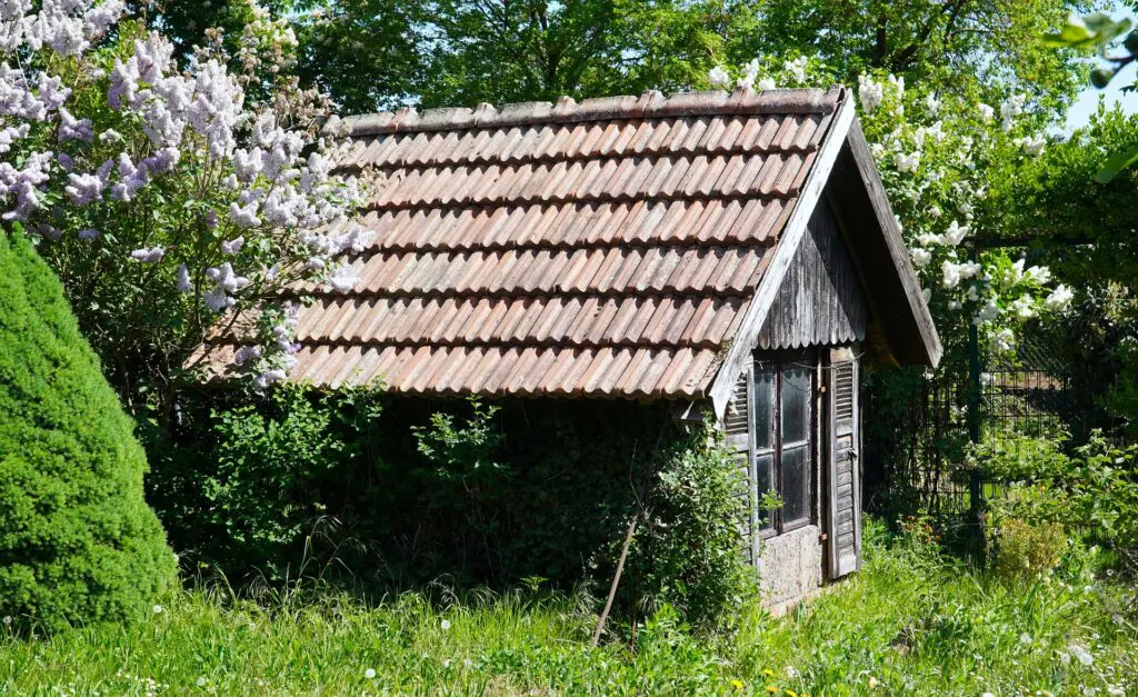 chichester mens shed