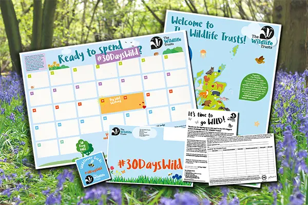 30 days wild challenge calendar