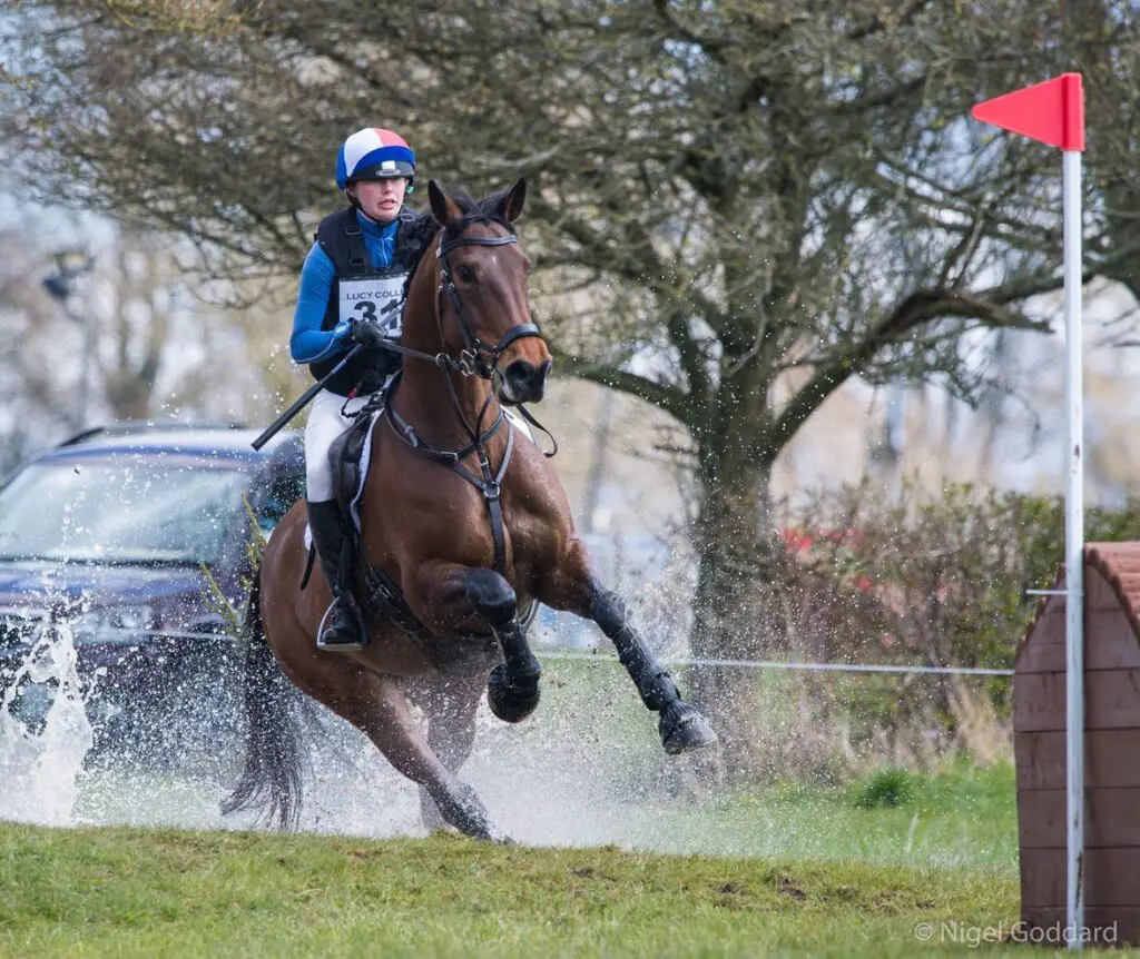 South of England International Horse Trial