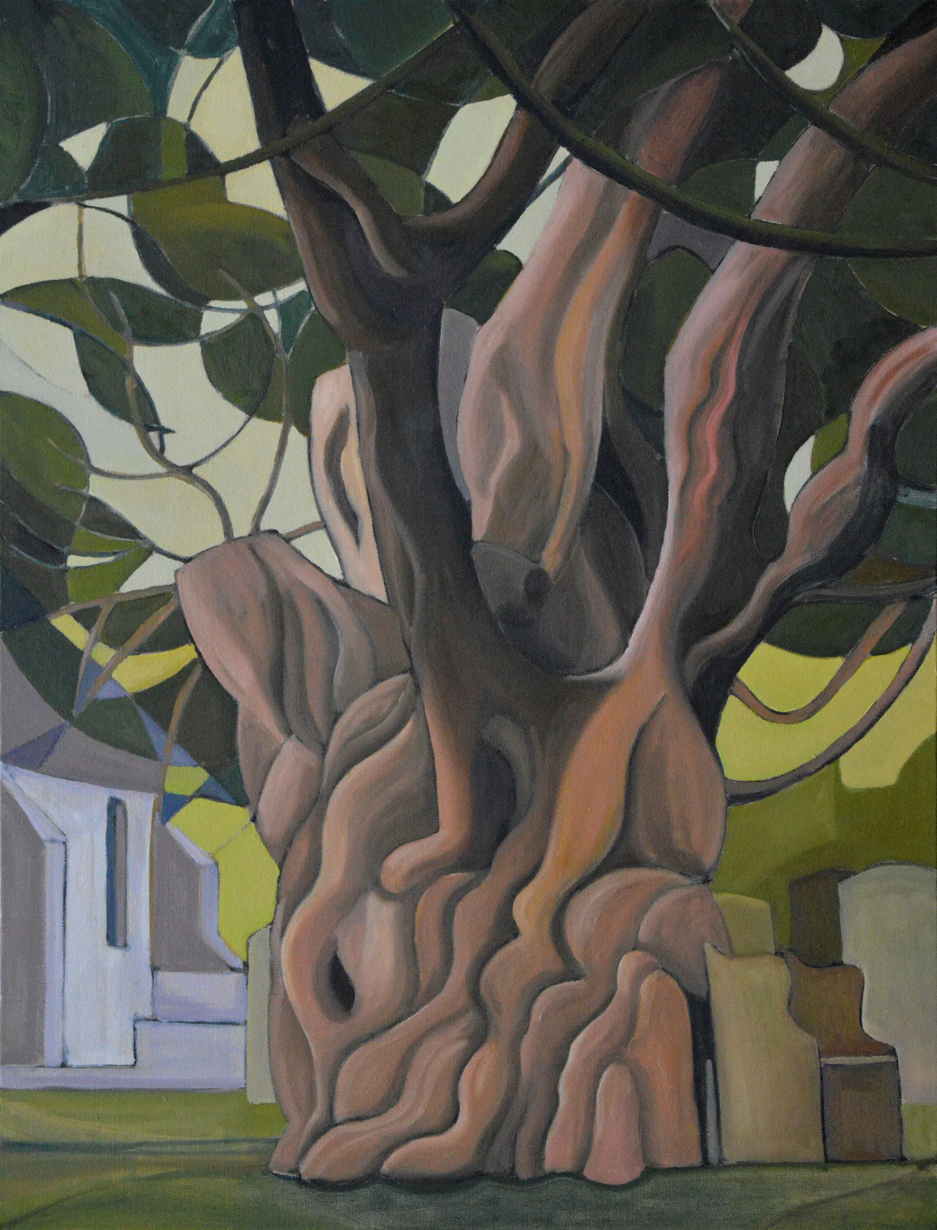 yew tree 04fa9a863cd240387be263a6f91cd96f