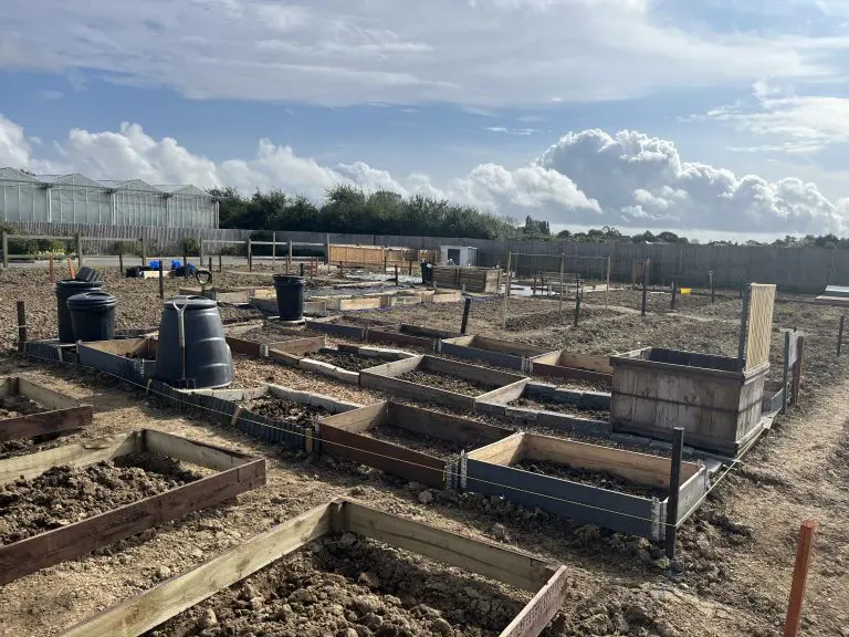 Ashdown Vale Allotment