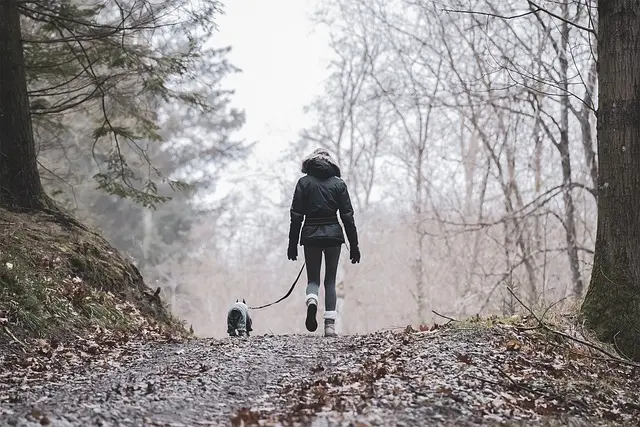 Walks and Holidays