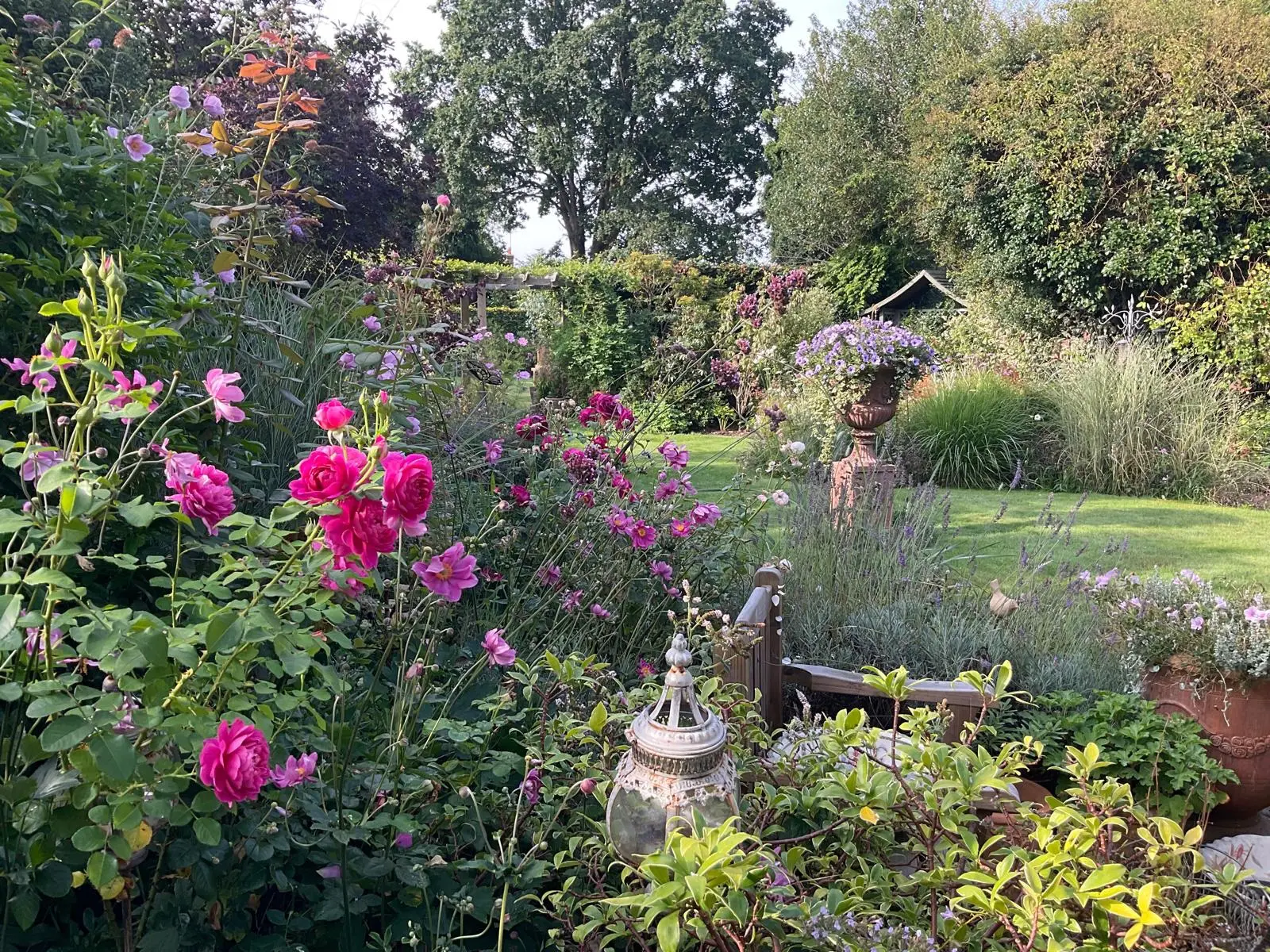 SussexW 47184 Talma 164349 714cb1d477249e1cb3c81f92777808f6