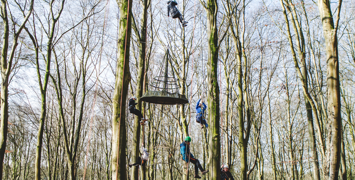 tree climbing 1 e192a52ce2648e80a976169048061144