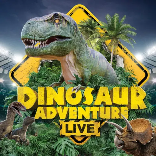 Dinos Square 8f64d607f51d0cef56f4db776b8d6cb0