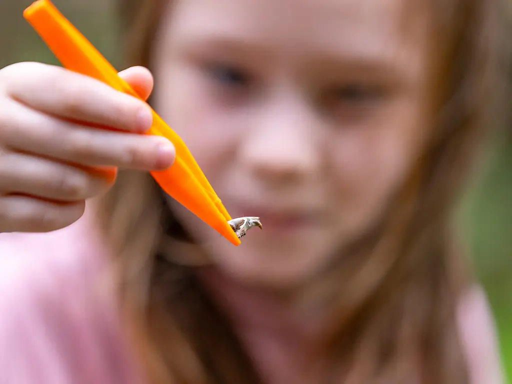 Owl girl blur tweezers skull 1024x768 2da43cb3ef09774b9772fee1ba73662d