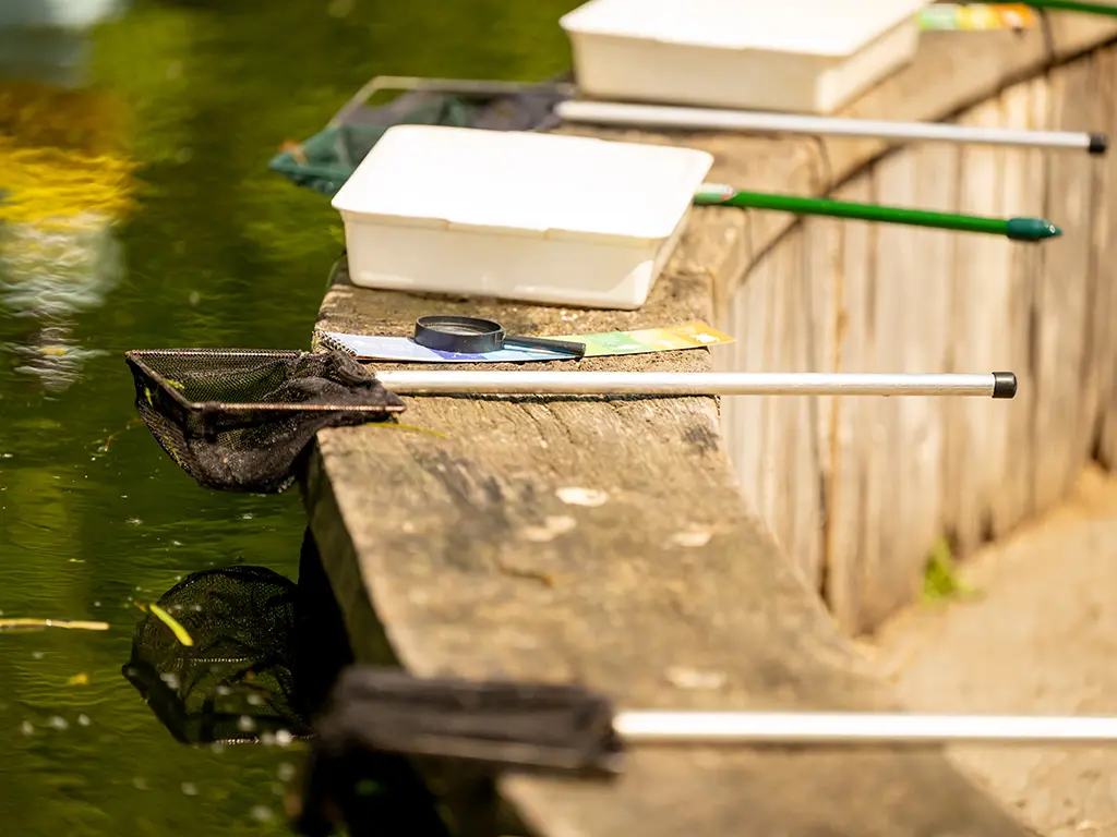 Pond dipping adults 768x1024 10cfdf39c774e725b32f03b87a49ed6d