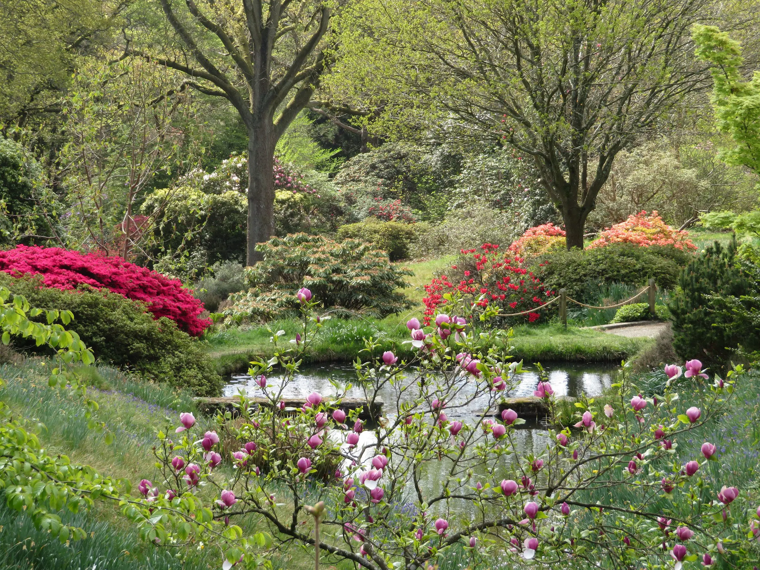High Beeches woodland and water Garden 12 d866bee9f59e46cb1eb0b79395641568