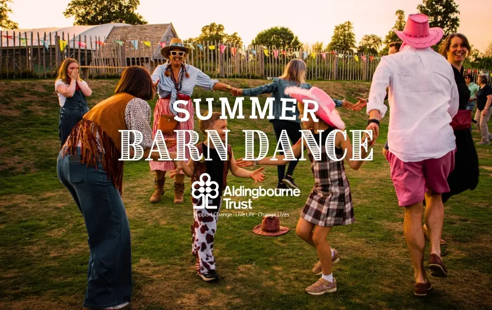 barndancead 0a3a1ba0e53f6e8448ec361d12524511