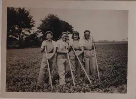 Land womeb pic in field acbd6dddb1c07b9d14ea3ddfe9deb076