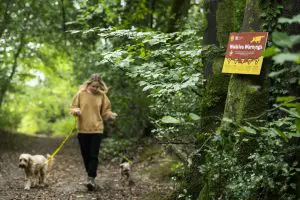 Dogs Trust Launches 'Walkies Warning Signs' 1 Walkies Warnings Dogs Trust 6