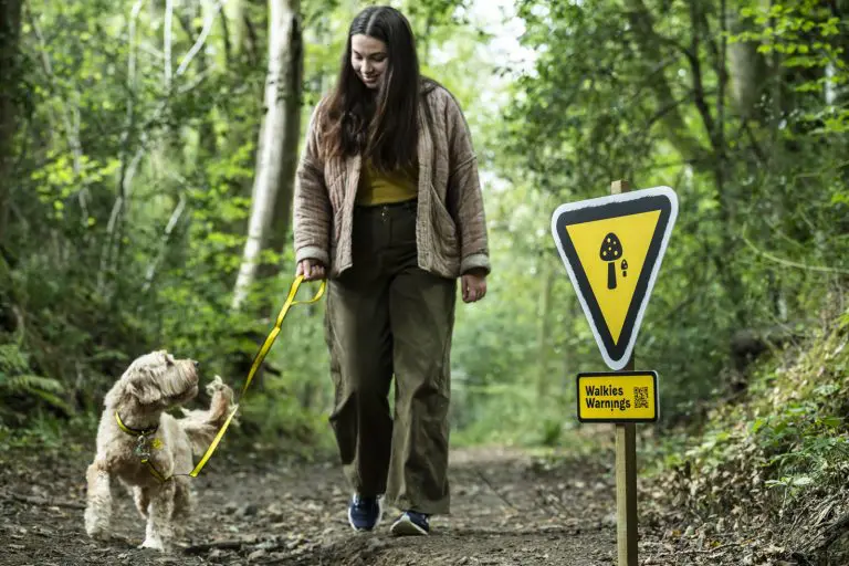 Home Page 2 Walkies Warnings Signs Dogs Trust 2