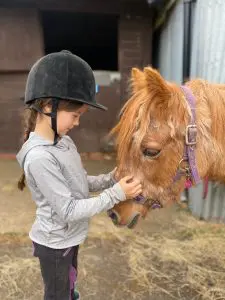 Ginger, the 40-year old pony, shortlisted to win Agria Horse of a Lifetime 1 1000102829