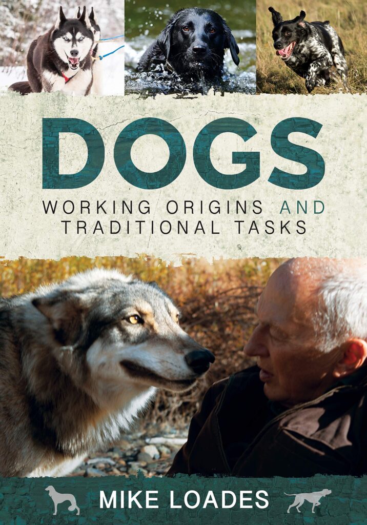 Dogs Working Origins and Traditional Tasks
