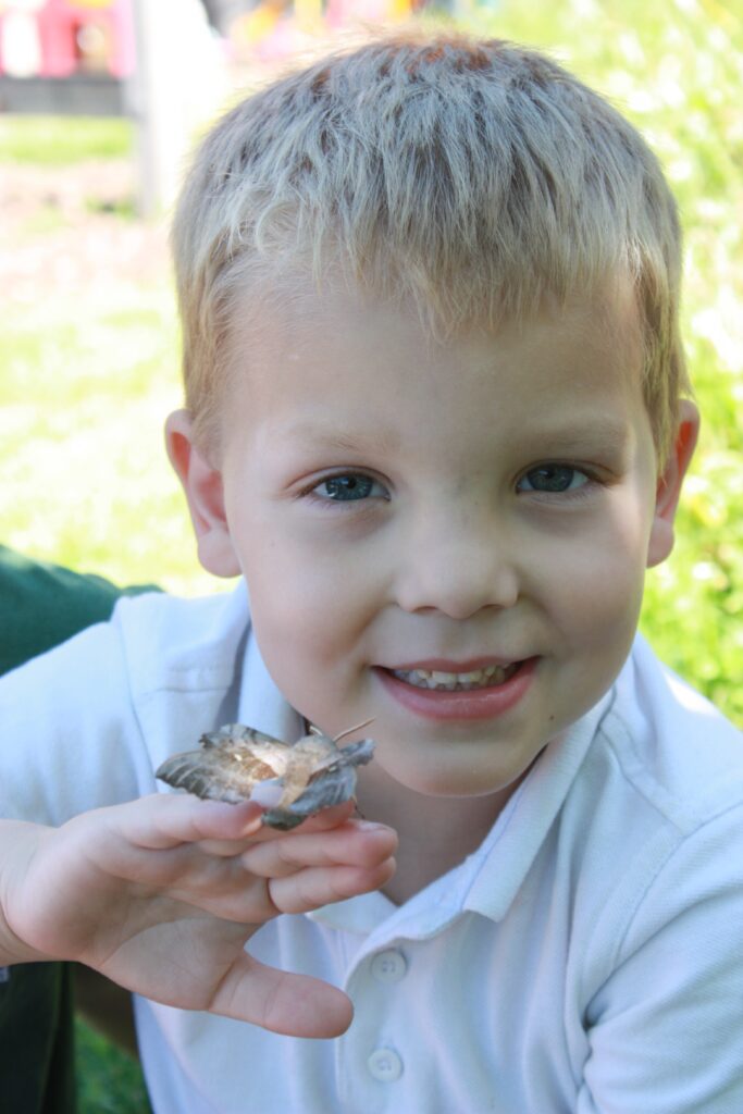 Child from Bury School nature film holding a moth in the South Downs National Park