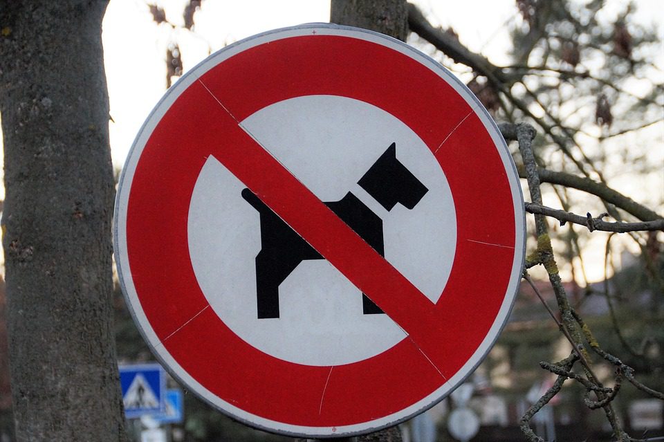 no dog fouling no dog walking sign