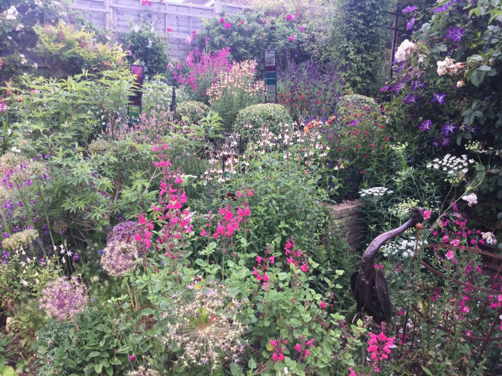 The National Garden Scheme Garden Open Days 15 Penlands Rise