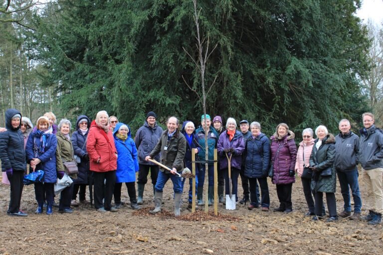 Queen’s Green Canopy tree planting at Warnham Local Nature Reserve