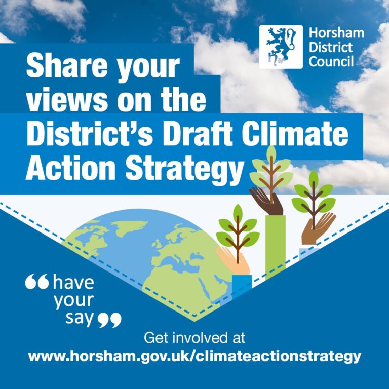 climate action strategy poster