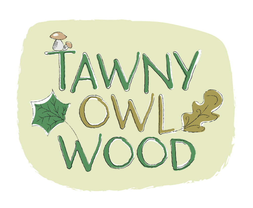 tawny owl wood fairy stories