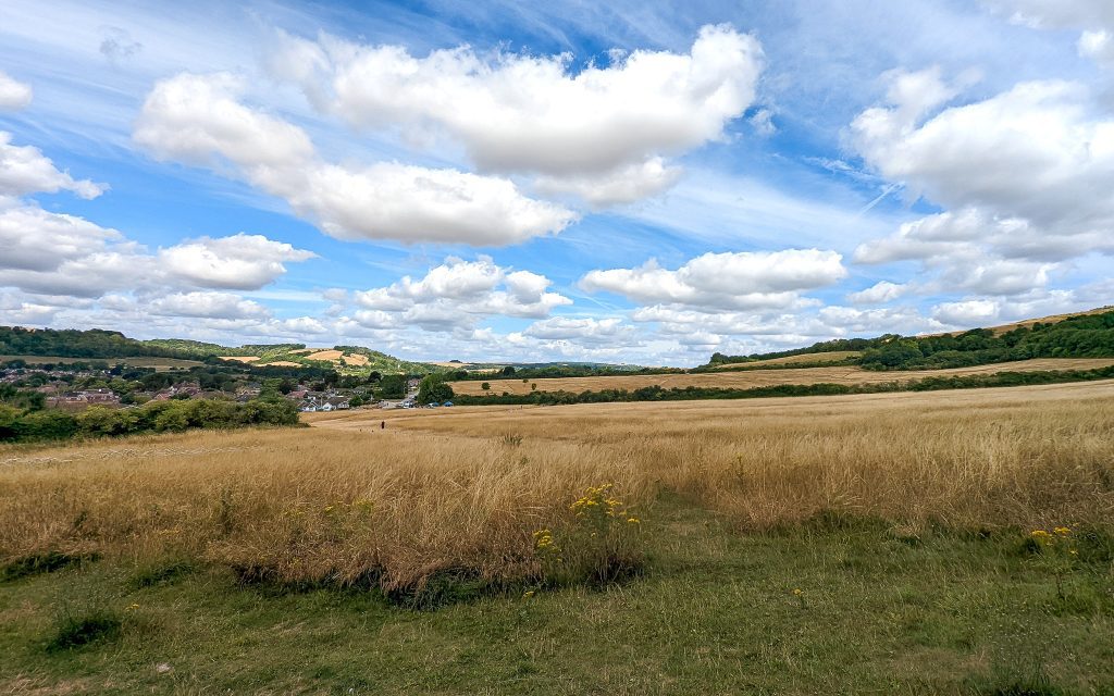 A picture of Cissbury Fields community orchard looking towards Findon Valley